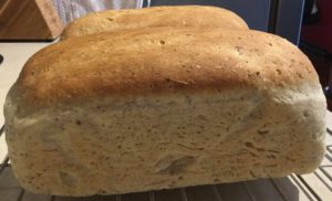 Delicious Homemade Egg Bread with Wheat Germ